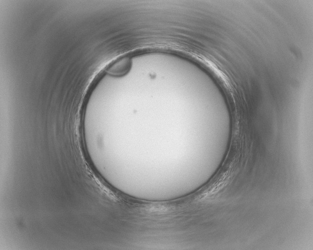 X0000116390799200912231108