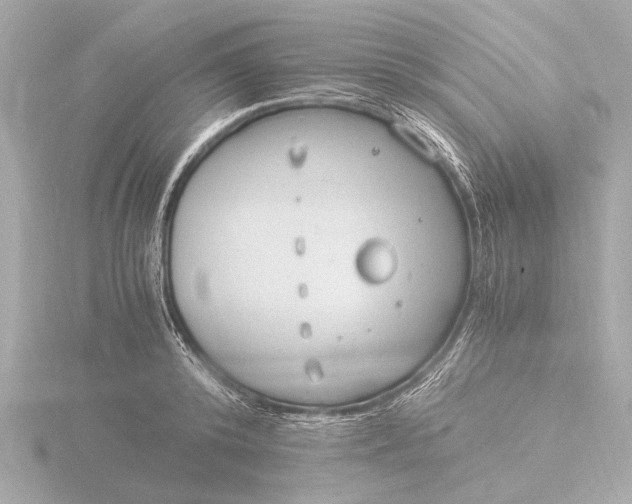 X0000116390800200912231108