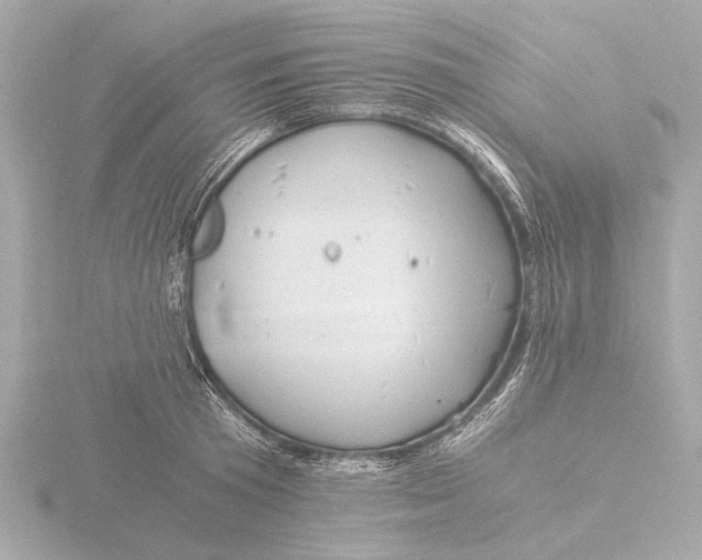 X0000116390801200912231108