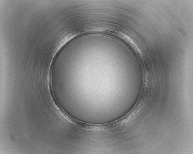 X0000116390802200912231108