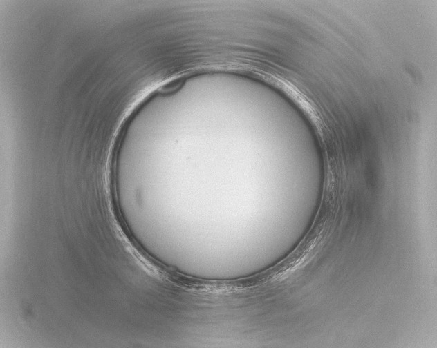 X0000116390803200912231108