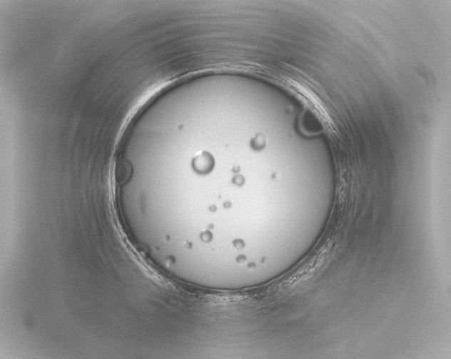 X0000116390804200912231108