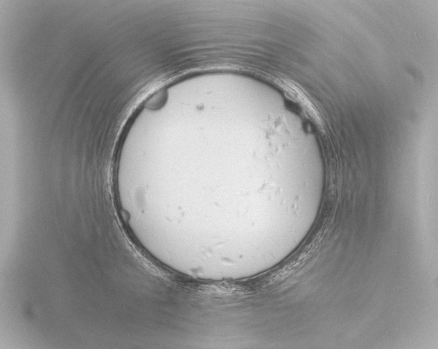 X0000116390805200912231108