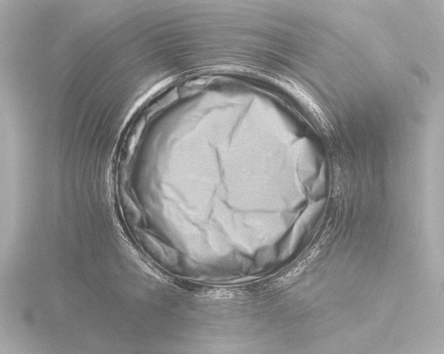 X0000116390806200912231108