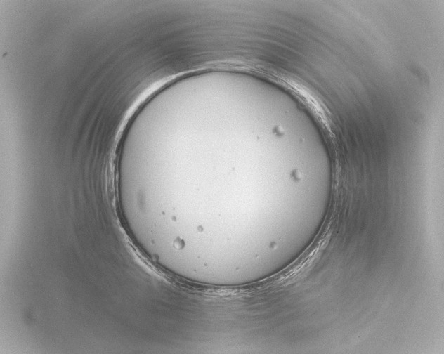 X0000116390808200912231108