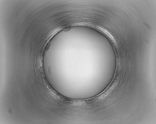 X0000116390809200912231108