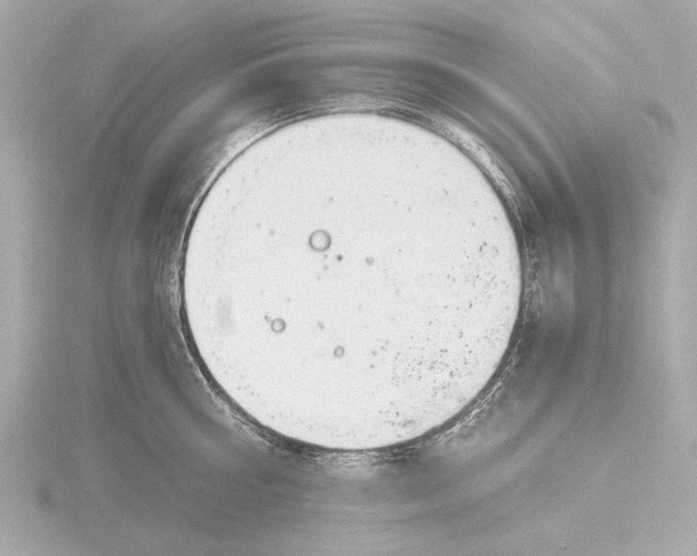 X0000116390810200912231108