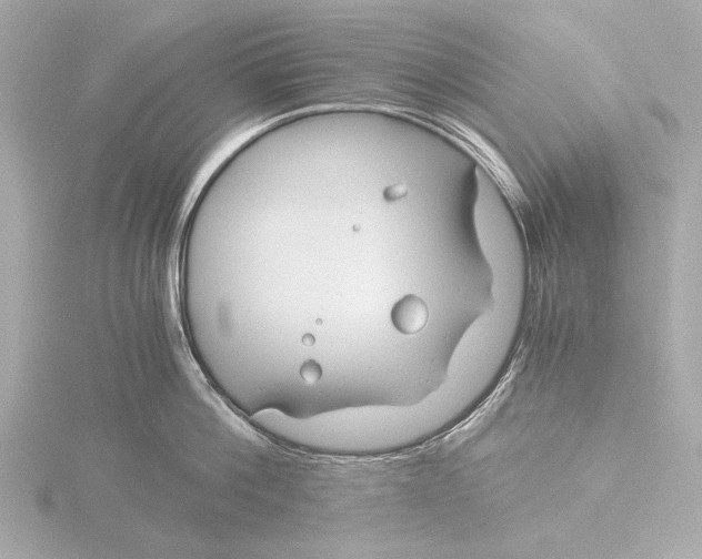 X0000116390812200912231108