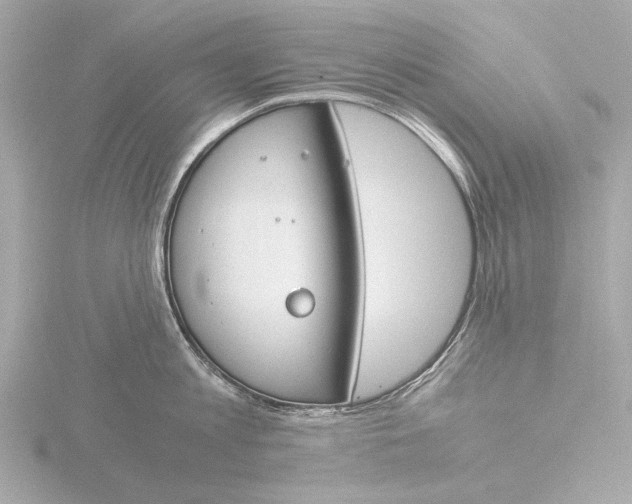 X0000116390813200912231108