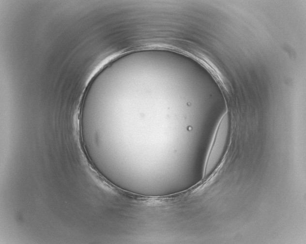 X0000116390814200912231108