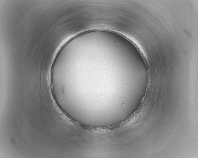 X0000116390815200912231108