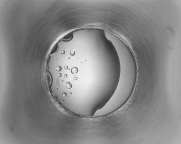 X0000116390816200912231108