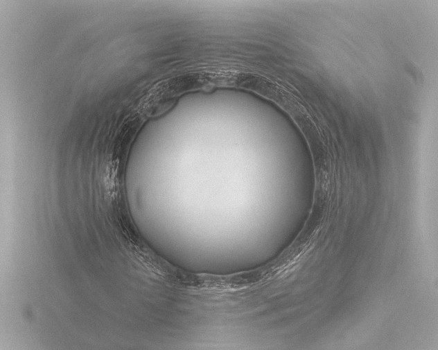 X0000116390818200912231107