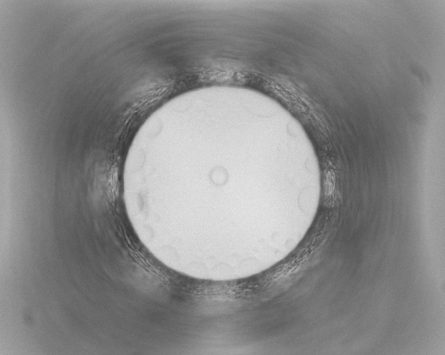 X0000116390820200912231107