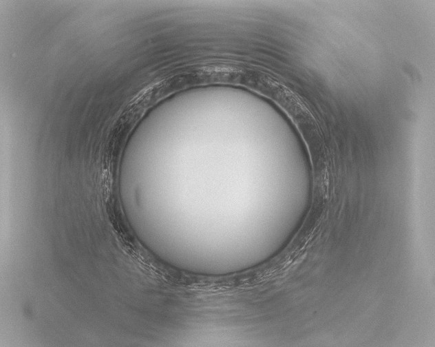 X0000116390821200912231107