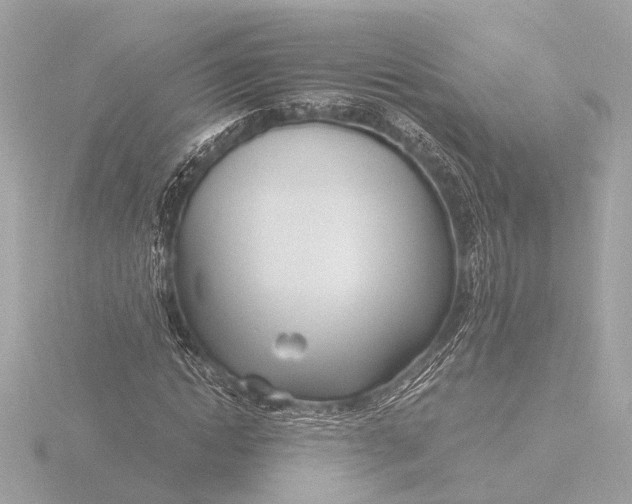 X0000116390822200912231107