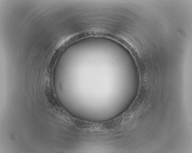 X0000116390823200912231107