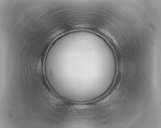 X0000116390825200912231107