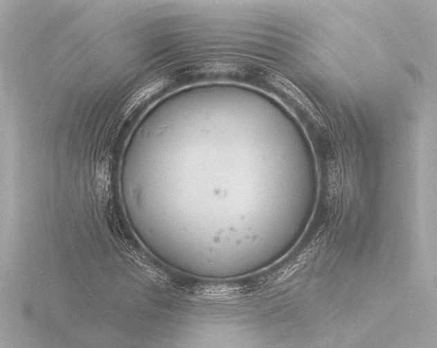 X0000116390826200912231107