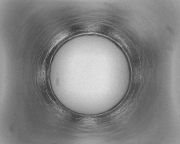 X0000116390827200912231107