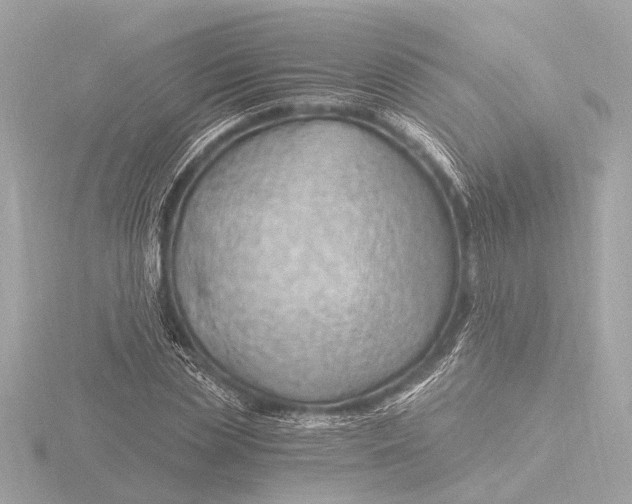 X0000116390829200912231107