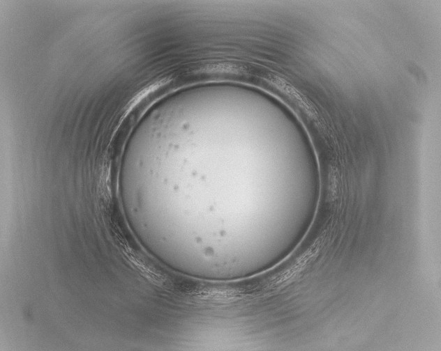 X0000116390830200912231107