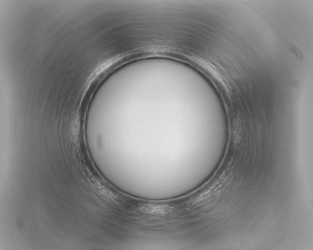 X0000116390831200912231107