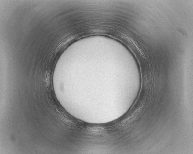 X0000116390833200912231107