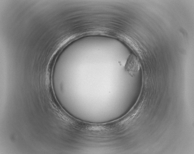 X0000116390835200912231108