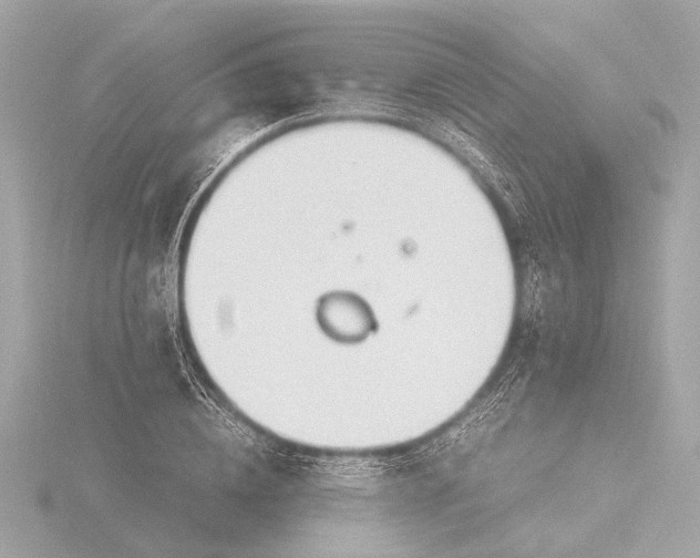 X0000116390836200912231108