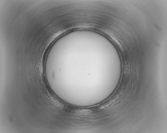 X0000116390837200912231108