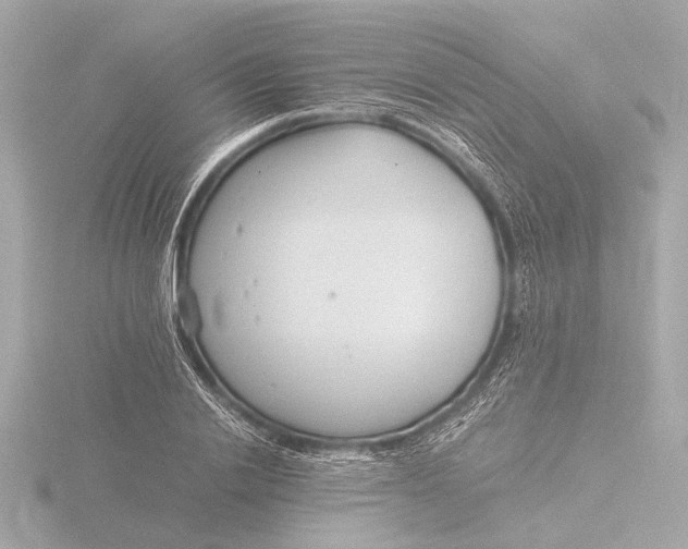 X0000116390838200912231108