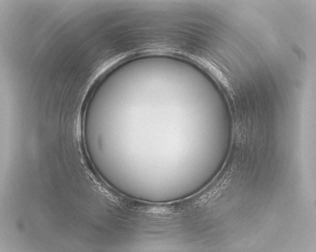 X0000116390839200912231108