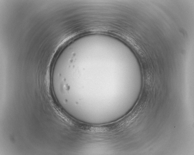 X0000116390840200912231108