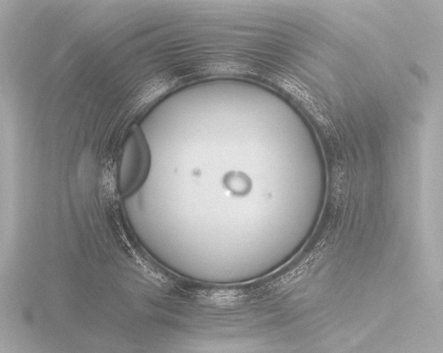 X0000116390841200912231108