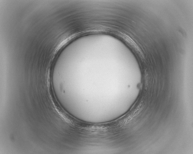 X0000116390842200912231108