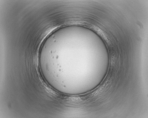 X0000116390844200912231108