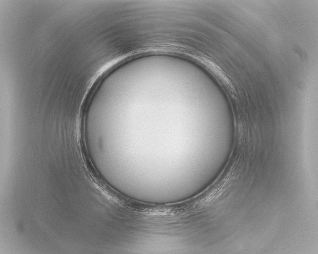 X0000116390846200912231108