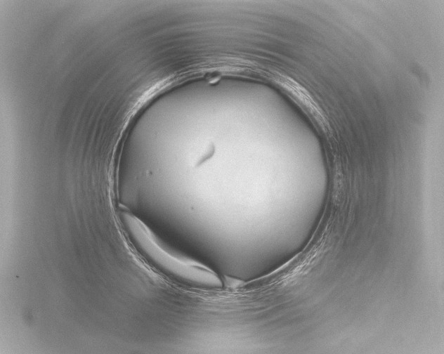 X0000116390850200912231108