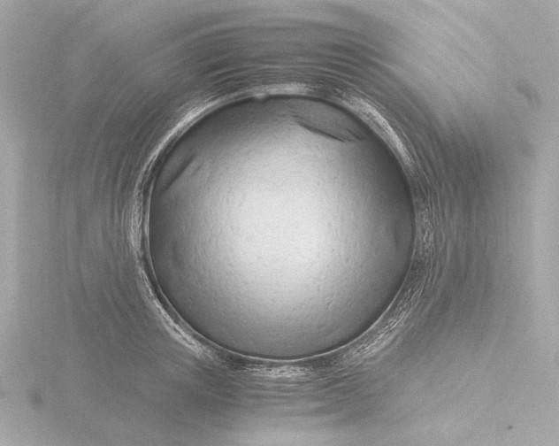 X0000116390851200912231108