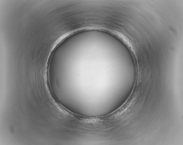 X0000116390853200912231108