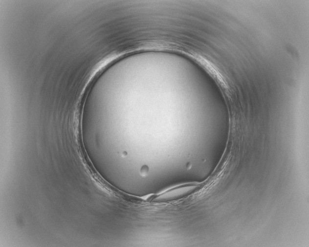 X0000116390854200912231108