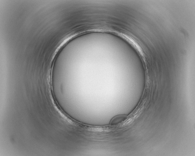 X0000116390855200912231108