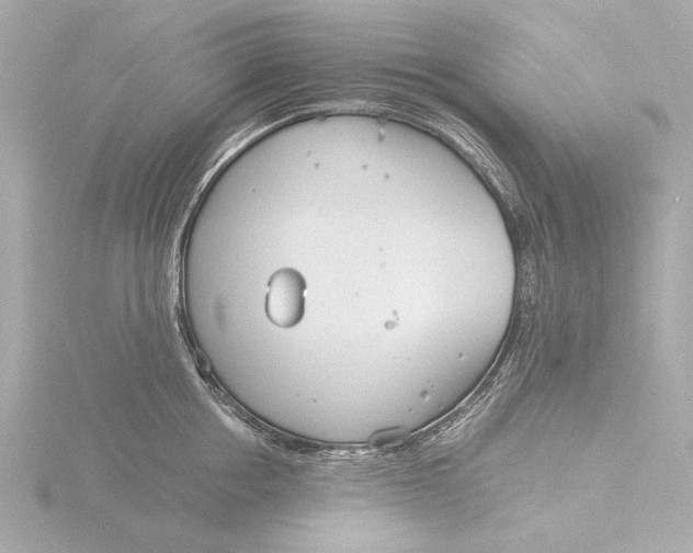 X0000116390858200912231108