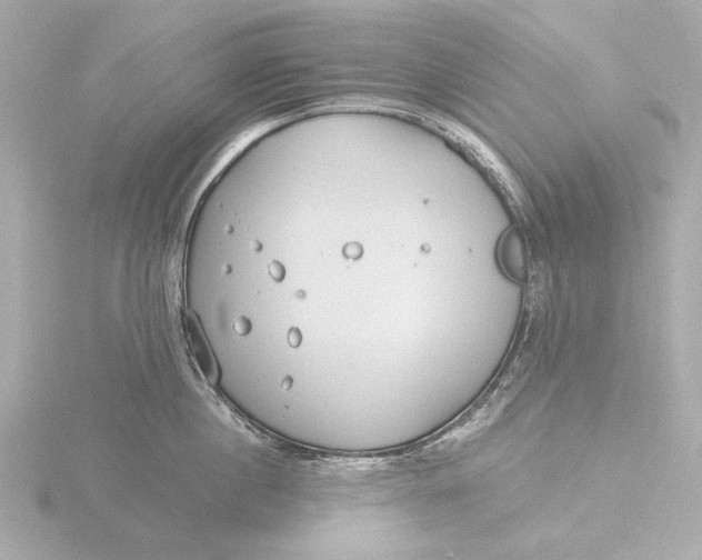 X0000116390860200912231108