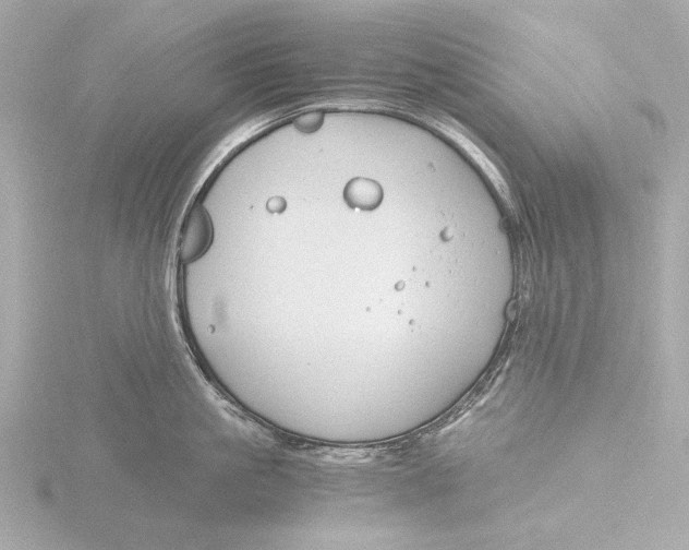 X0000116390861200912231108