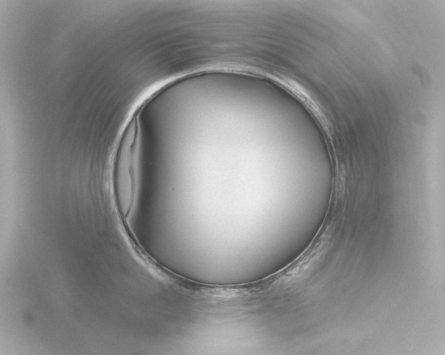 X0000116390862200912231108