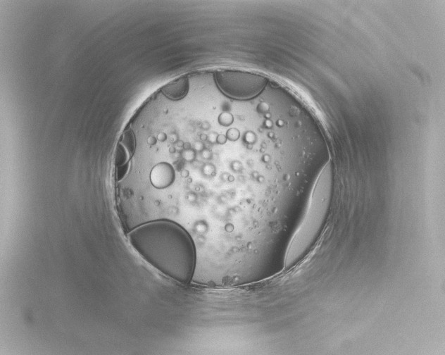 X0000116390863200912231108