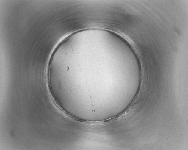 X0000116390864200912231108