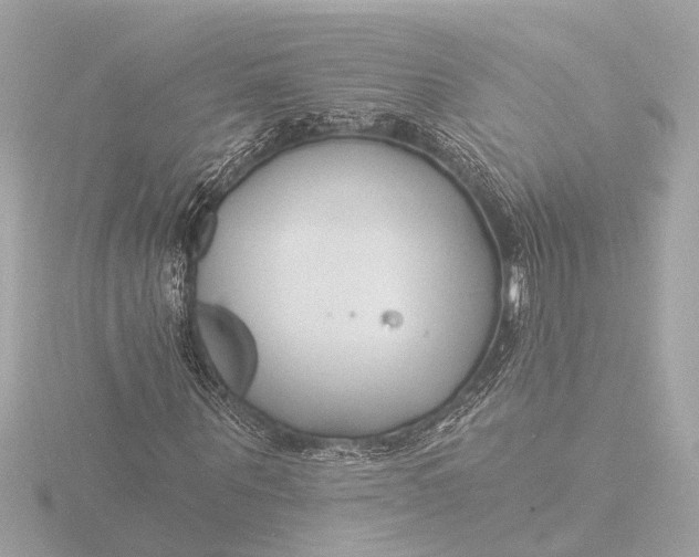 X0000116390867200912231107